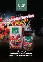 Booklet manjaberries advance_page-0001.webp
